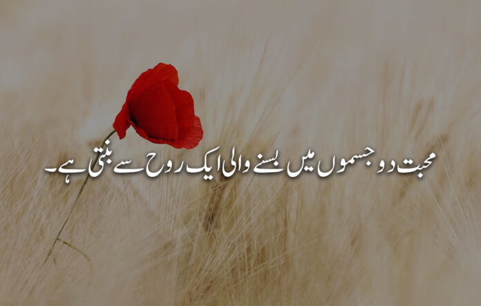 10+ Love Quotes in Urdu